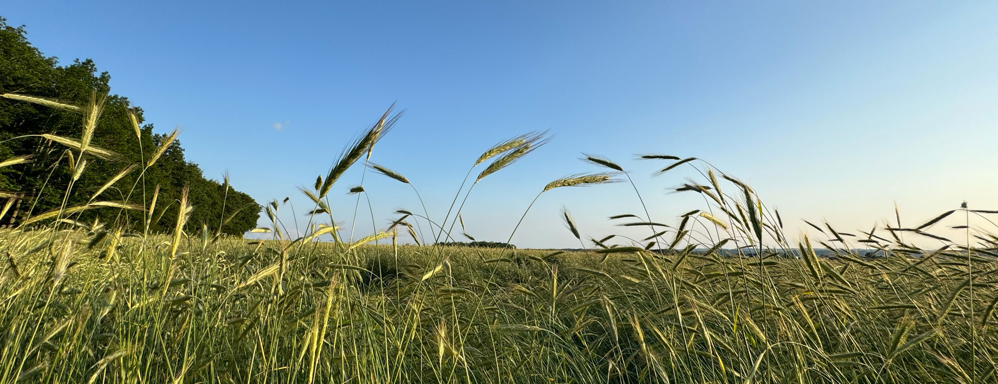 sliderbild
