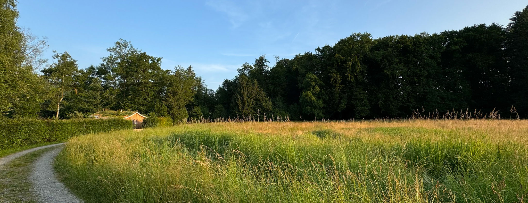 sliderbild